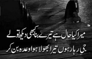 2 line sad urdu poetry