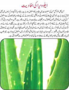 aloe vera for skin