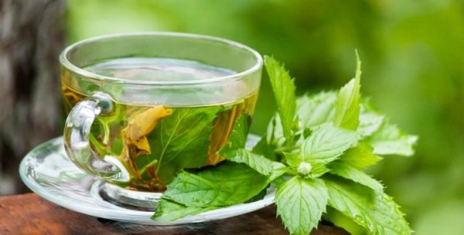 weight loss green tea