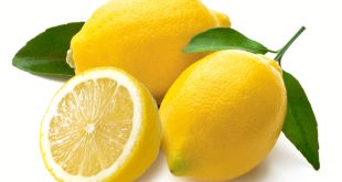 lemon for cough