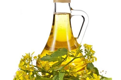 mustard oil