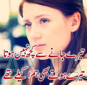 sad shayari in two lines