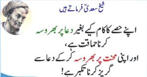 best shiekh saadi quotes in urdu