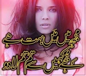 urdu sad shayari two lines