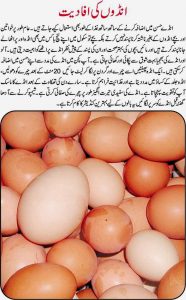 egg benefits