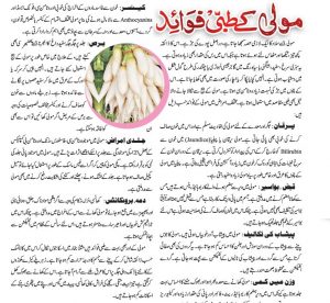 radish benefits