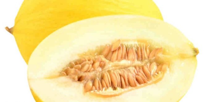 melon health benefits in urdu