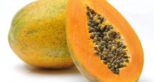 papaya benefits in urdu