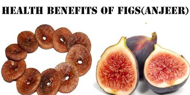 fig