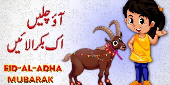 Eid ul Azha 2019